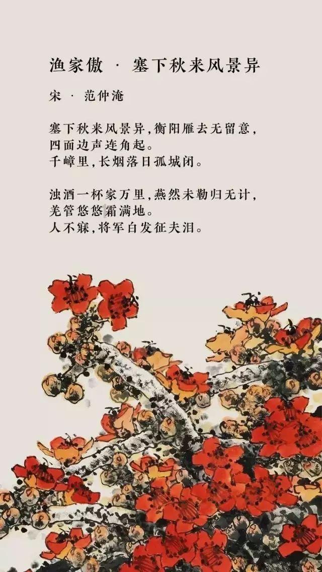 超数码宝贝4.0